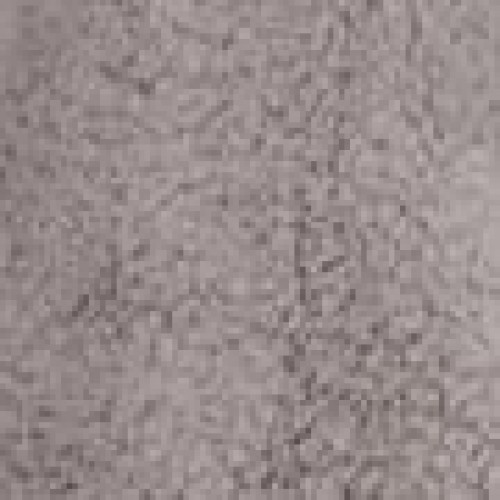 Μονόχρωμη Γούνινη Κουβέρτα με Pompoms Papigo Super Υπέρδιπλη (240x260cm) Σοκολά Μονόχρωμη Γούνινη Κουβέρτα με Pompoms Papigo Super Υπέρδιπλη (240x260cm) Σοκολά