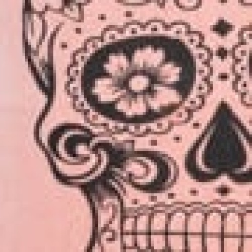 Διακοσμητική Μαξιλαροθήκη The Skull σε 4 Αποχρώσεις 40x40cm Κοραλί Διακοσμητική Μαξιλαροθήκη The Skull σε 4 Αποχρώσεις 40x40cm Κοραλί