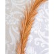 Ύφασμα Λονέτα Mesina Φ280cm σε 2 Αποχρώσεις Μπεζ Ύφασμα Λονέτα Mesina Φ280cm σε 2 Αποχρώσεις Μπεζ