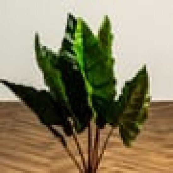 Κολοκασία Τεχνητή Πράσινη Plant 60cm.  Πράσινο