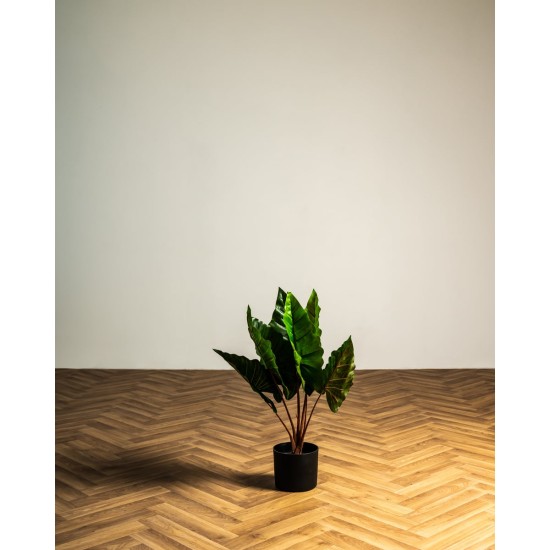 Κολοκασία Τεχνητή Πράσινη Plant 60cm. Πράσινο Κολοκασία Τεχνητή Πράσινη Plant 60cm. Πράσινο