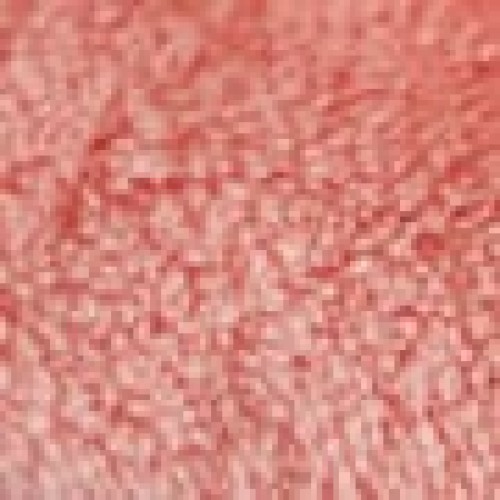 Απορροφητική Πετσέτα Aurelia σε 3 Αποχρώσεις Λουτρού | 70x200cm Ροζ