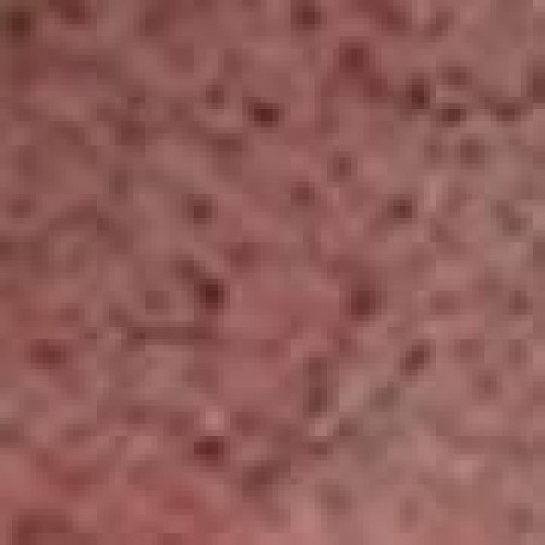 Φυσική Mini Ορθογώνια Ελαφρόπετρα Θαλάσσης με Κορδόνι 6x3.5cm σε 5 Αποχρώσεις One Size (6x3.5cm) Κόκκινο