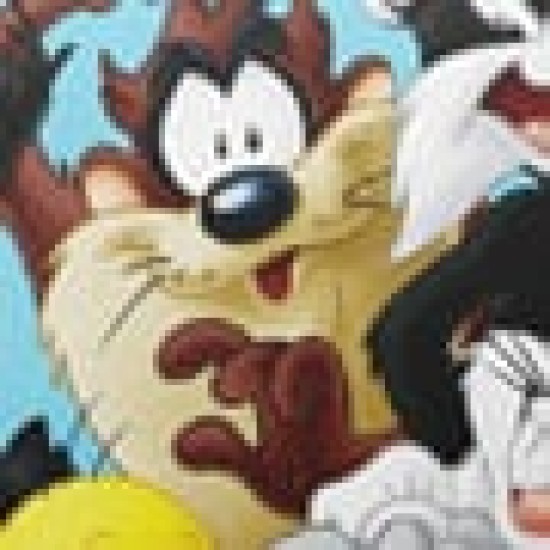 Παιδικό Διακοσμητικό Μαξιλάρι Looney Tunes Des.1 Warner Bros 40x40cm 40x40cm Παιδικό Διακοσμητικό Μαξιλάρι Looney Tunes Des.1 Warner Bros 40x40cm 40x40cm