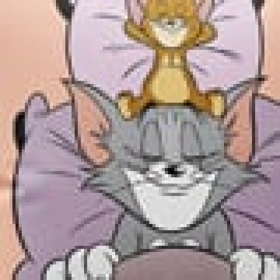 Παιδικό Διακοσμητικό Μαξιλάρι Tom & Jerry Warner Bros 40x40cm 40x40cm Παιδικό Διακοσμητικό Μαξιλάρι Tom & Jerry Warner Bros 40x40cm 40x40cm