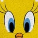 Παιδικό Χαλί Tweety Des.1 Warner Bros σε 2 Διαστάσεις 55x85cm Κίτρινο Παιδικό Χαλί Tweety Des.1 Warner Bros σε 2 Διαστάσεις 55x85cm Κίτρινο