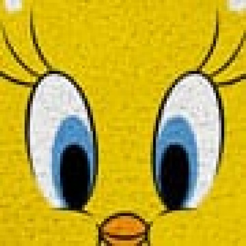 Παιδικό Χαλί Tweety Des.1 Warner Bros σε 2 Διαστάσεις 130x180cm Κίτρινο