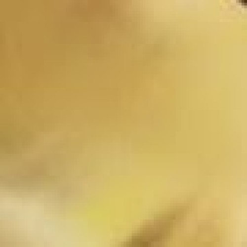 Σετ 6 τεμ Ανοξείδωτα Πιρούνια Χρυσά Ματ Cultery Χρυσό Σετ 6 τεμ Ανοξείδωτα Πιρούνια Χρυσά Ματ Cultery Χρυσό