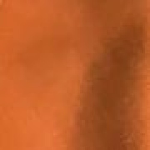 Μονόχρωμη Πετσέτα Φαγητού Doren 42x42cm 42x42cm Rust