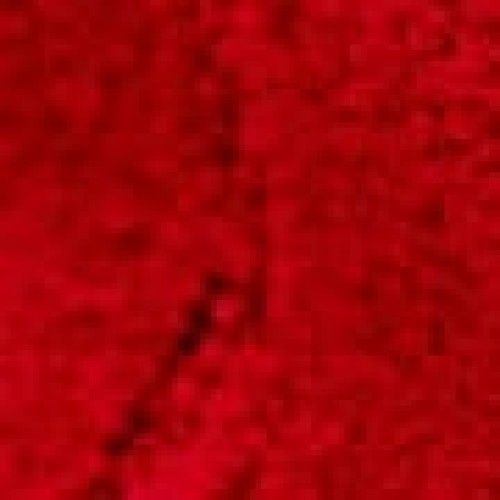 Micro Αντιολισθητικό Χαλάκι Μπάνιου Cozy 40x60cm 40x60cm Κόκκινο Micro Αντιολισθητικό Χαλάκι Μπάνιου Cozy 40x60cm 40x60cm Κόκκινο