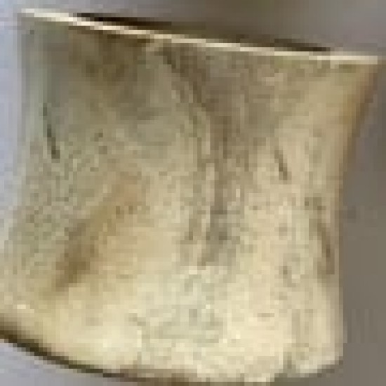 Ξύλινο Δαχτυλίδι Πετσέτας Φαγητού Μπεζ Ember 5x5cm One Size (5x5cm) Μπεζ Ξύλινο Δαχτυλίδι Πετσέτας Φαγητού Μπεζ Ember 5x5cm One Size (5x5cm) Μπεζ