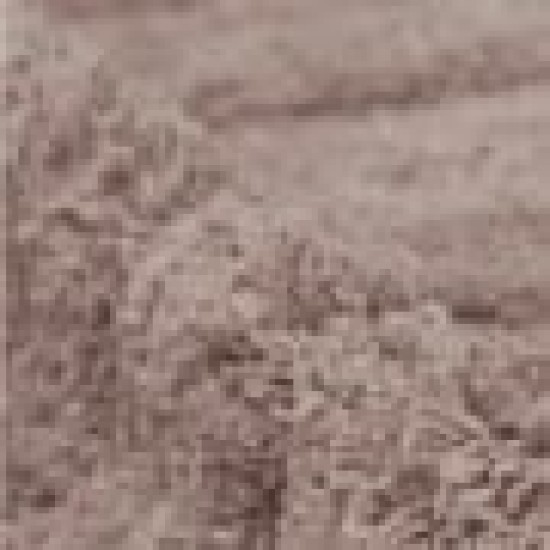 Βαμβακερό Πατάκι Μπάνιου Ανάγλυφη Φάσα Carine 50x70cm 50x70cm Μπεζ Βαμβακερό Πατάκι Μπάνιου Ανάγλυφη Φάσα Carine 50x70cm 50x70cm Μπεζ