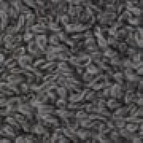 Βαμβακερή Πετσέτα Πισίνας Ξαπλώστρας Reactive Βαφή Blur 100x200cm Γκρι Σκούρο