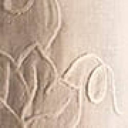 Θήκη μπουκαλιού Miniature 15 με κέντημα αμπελιού One Size Άσπρο