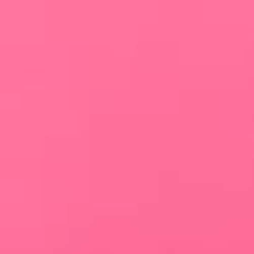 Σετ 12 Τεμαχίων Φούξια Πλαστικοί Κρίκοι Κουρτίνας Μπάνιου Shower Φούξια