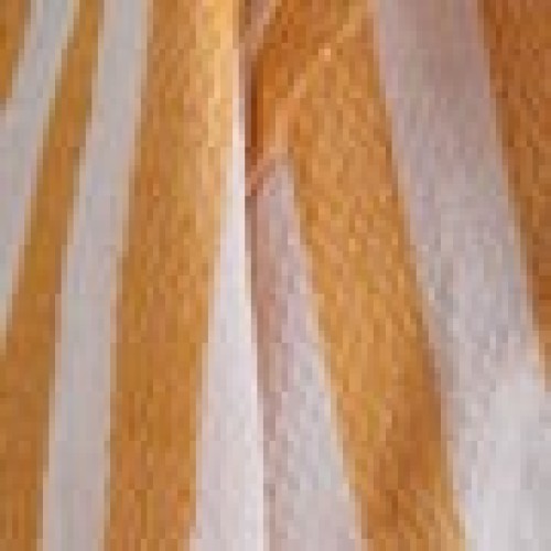 Βαμβακερό Παρεό με Chevron Ρίγες & Κρόσσι Olina 90x170cm Παρεό | 90x170cm Κίτρινο Βαμβακερό Παρεό με Chevron Ρίγες & Κρόσσι Olina 90x170cm Παρεό | 90x170cm Κίτρινο