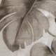 Λονέτα Τετράγωνο Μαξιλάρι Καρέκλας Tomentosa 45x45cm 45x45cm Λονέτα Τετράγωνο Μαξιλάρι Καρέκλας Tomentosa 45x45cm 45x45cm