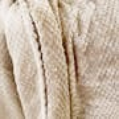 Βελουτέ Κουβέρτα Ανάγλυφη Coral Fleece Minthi 150x210cm Μονή (150x210cm) Μπεζ Απαλό