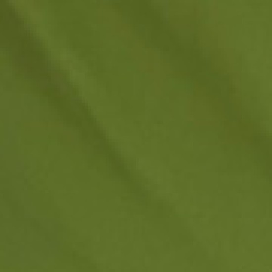 Επαγγελματικός Πράσινος Σάκος Απλύτων με Κορδόνι Panama 60x100cm One Size Πράσινο