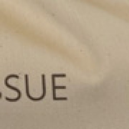 Θήκη για Χαρτομάντηλα με Εκτύπωση Bath Tissue Dutch 34x20cm