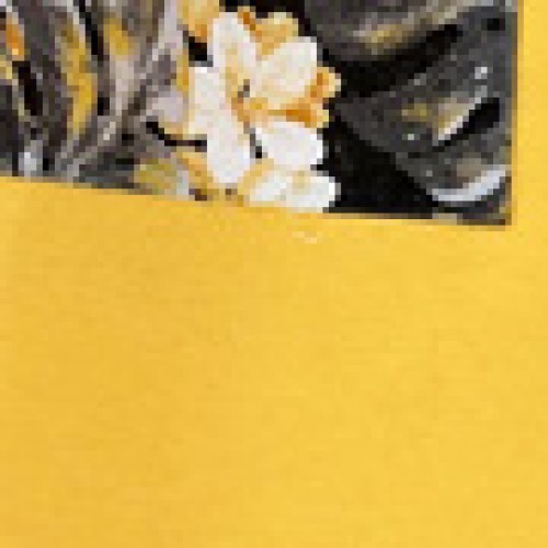 Κίτρινη Ποδιά Μπούστο με Εμπριμέ Τσέπη Panama Μπούστο (66x96cm) Κίτρινη Ποδιά Μπούστο με Εμπριμέ Τσέπη Panama Μπούστο (66x96cm)