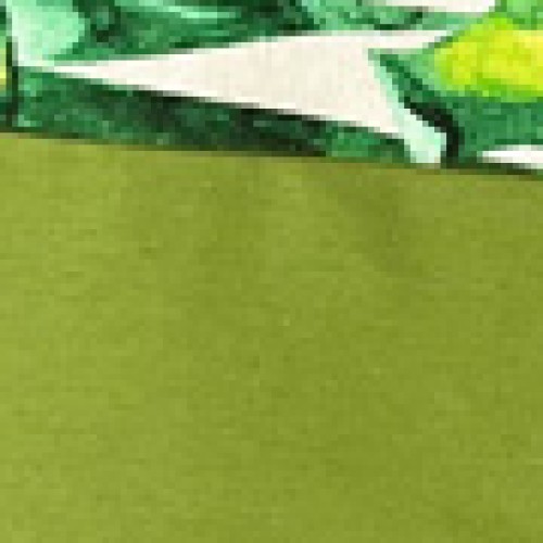 Πράσινη Ποδιά Μπούστο με Εμπριμέ Τσέπη Panama Μπούστο (66x96cm)