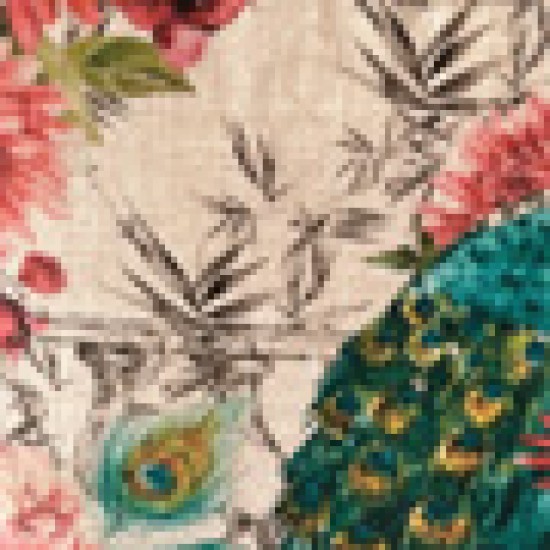 Αδιάβροχη Μαξιλαροθήκη Digital Print Σχέδιο Παγώνι Alimia 50x50cm 50x50cm Multi