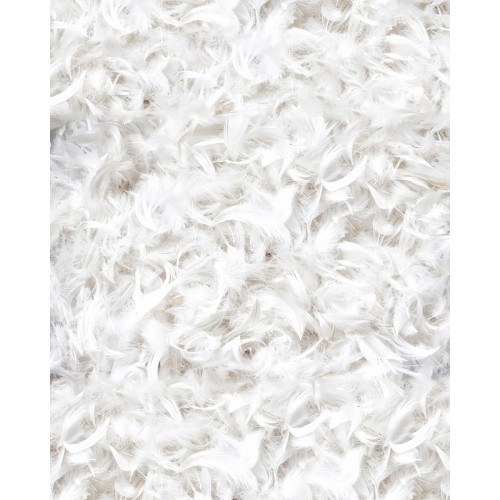 Καπιτονέ Πουπουλένιο Πάπλωμα 80%  Πούπουλο-20%  Φτερό Cambridge Super Υπέρδιπλη (240x260cm) Άσπρο