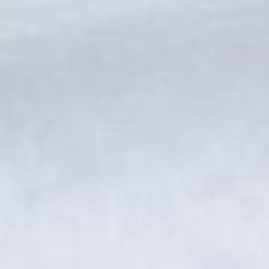 Πάπλωμα Warwick από πούπουλο πάπιας Μονή (160x240cm) Άσπρο