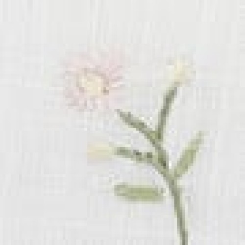 Σετ 4 τεμ Πετσέτες Φαγητού Herbal Σχ. 148 Bo Maison 42x42cm Ροζ Σετ 4 τεμ Πετσέτες Φαγητού Herbal Σχ. 148 Bo Maison 42x42cm Ροζ