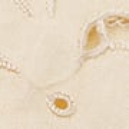 Σετ Πετσέτες Φαγητού 4 τεμ Κοφτό Κέντημα Bo Maison 42x42cm Εκρού