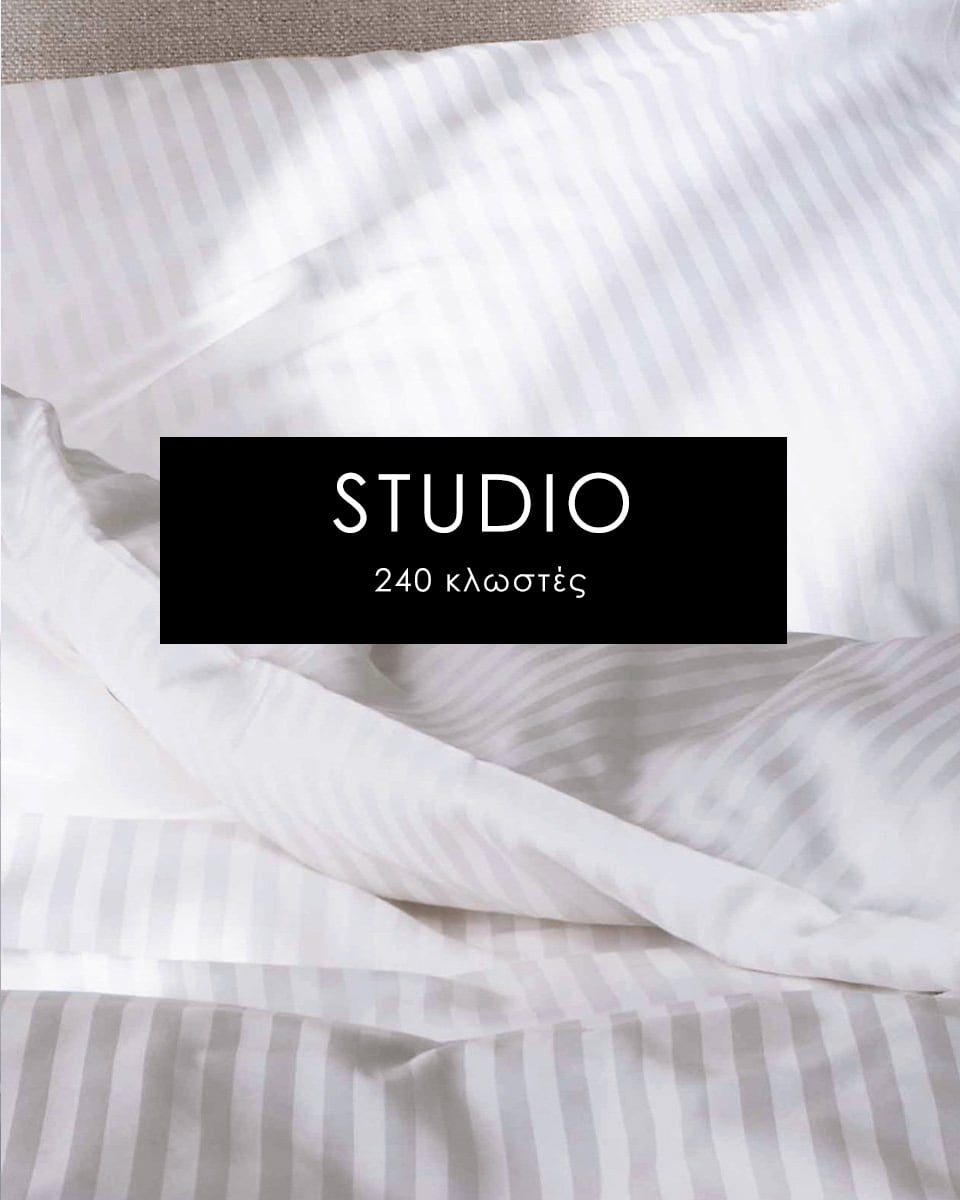 Παπλωματοθήκη Λευκή Ξενοδοχειακή Studio Μονή (160x240cm) Άσπρο
